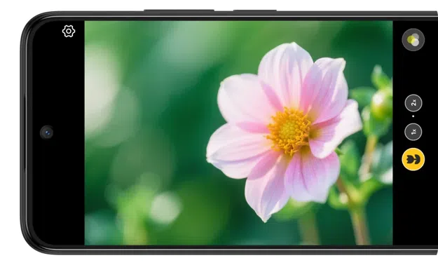 TCL 605 Detail-revealing shooting