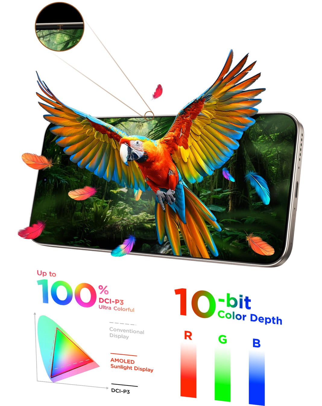 Display Features