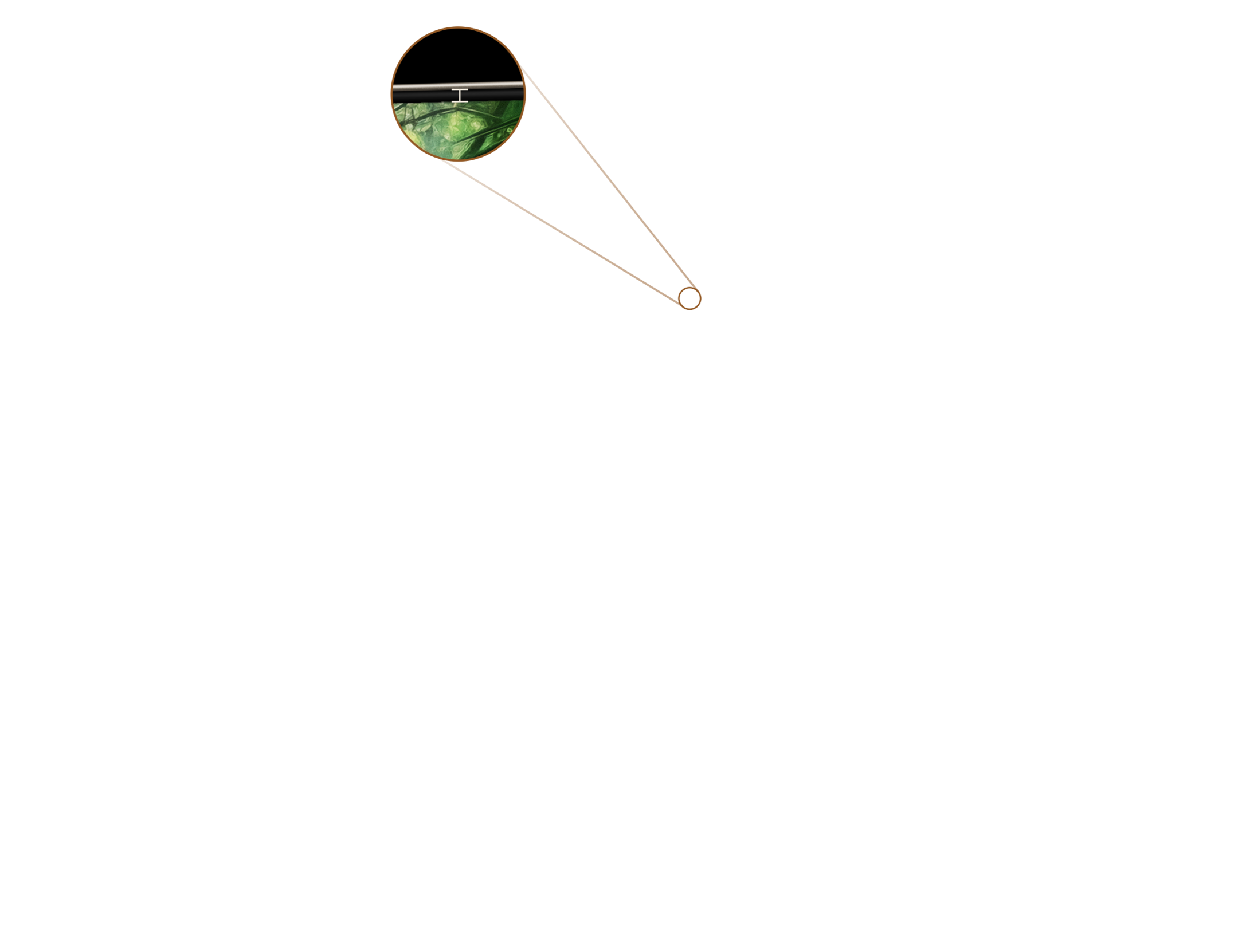 Detail Diagram