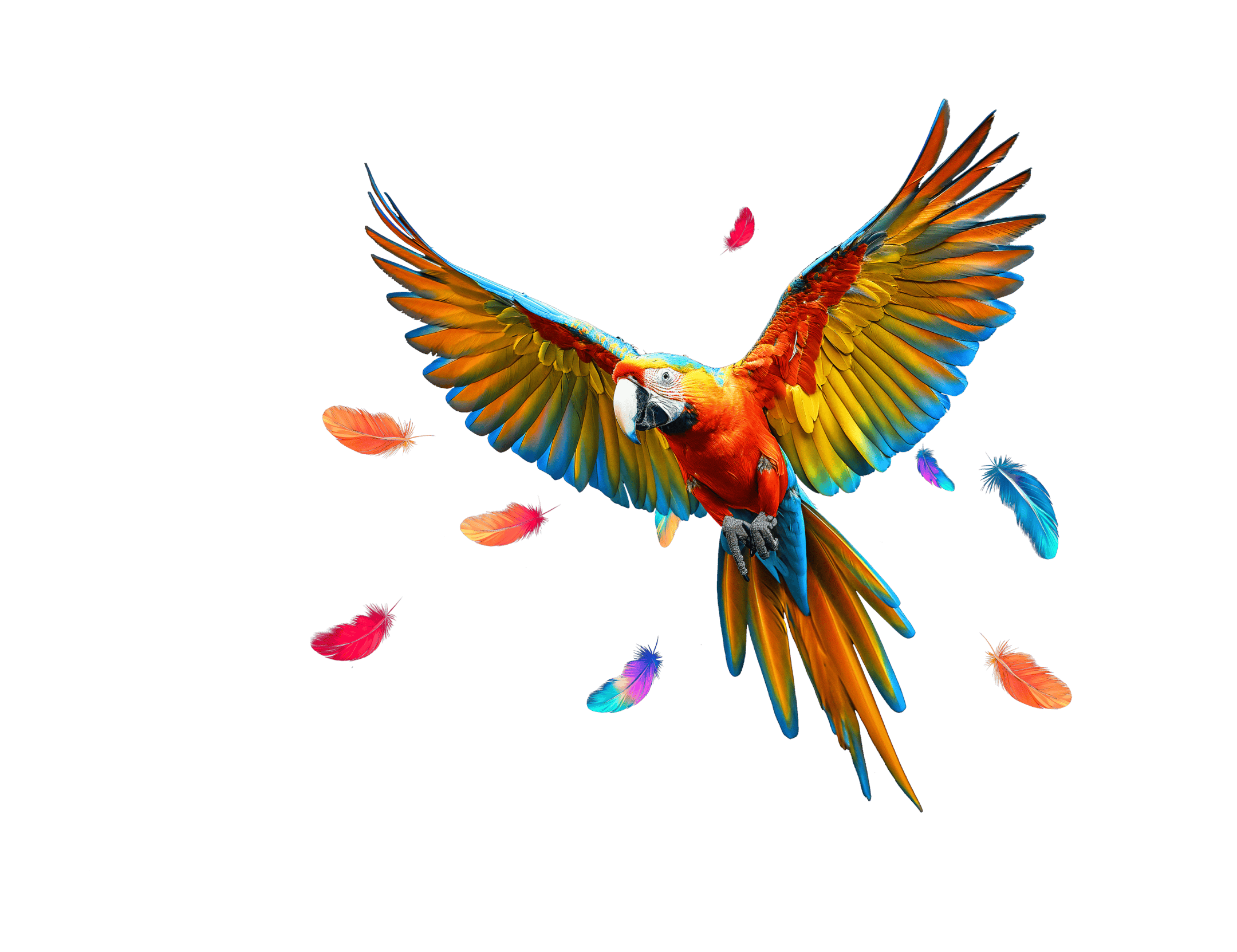 Parrot Flying