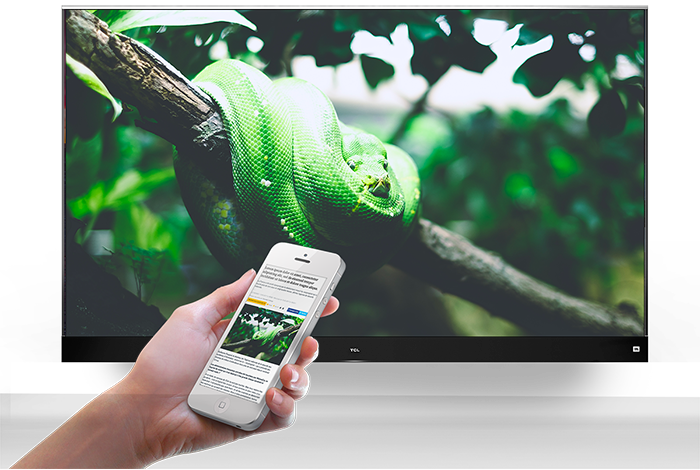 Dolby Audio and DTS HD: cinema sound at home