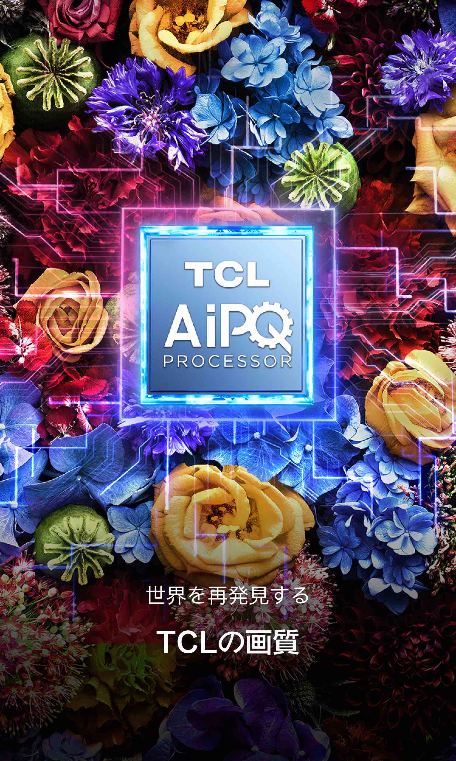 TCLテレビの映像技術を再発見｜TCLジャパン