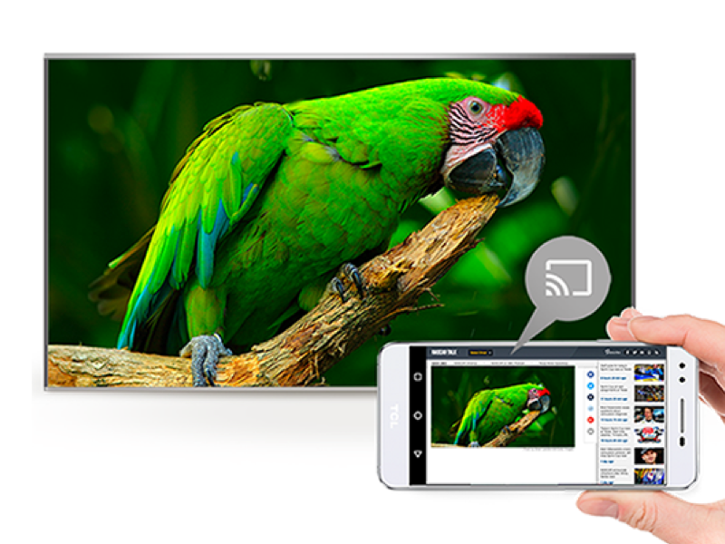 TCL P615シリーズ-Android テレビ-スマートTV-TCLジャパン