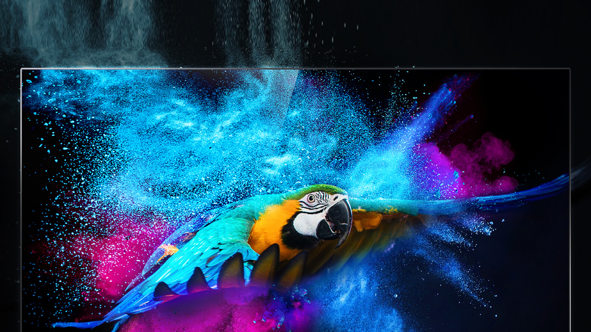 TCL q815 Dolby Vision