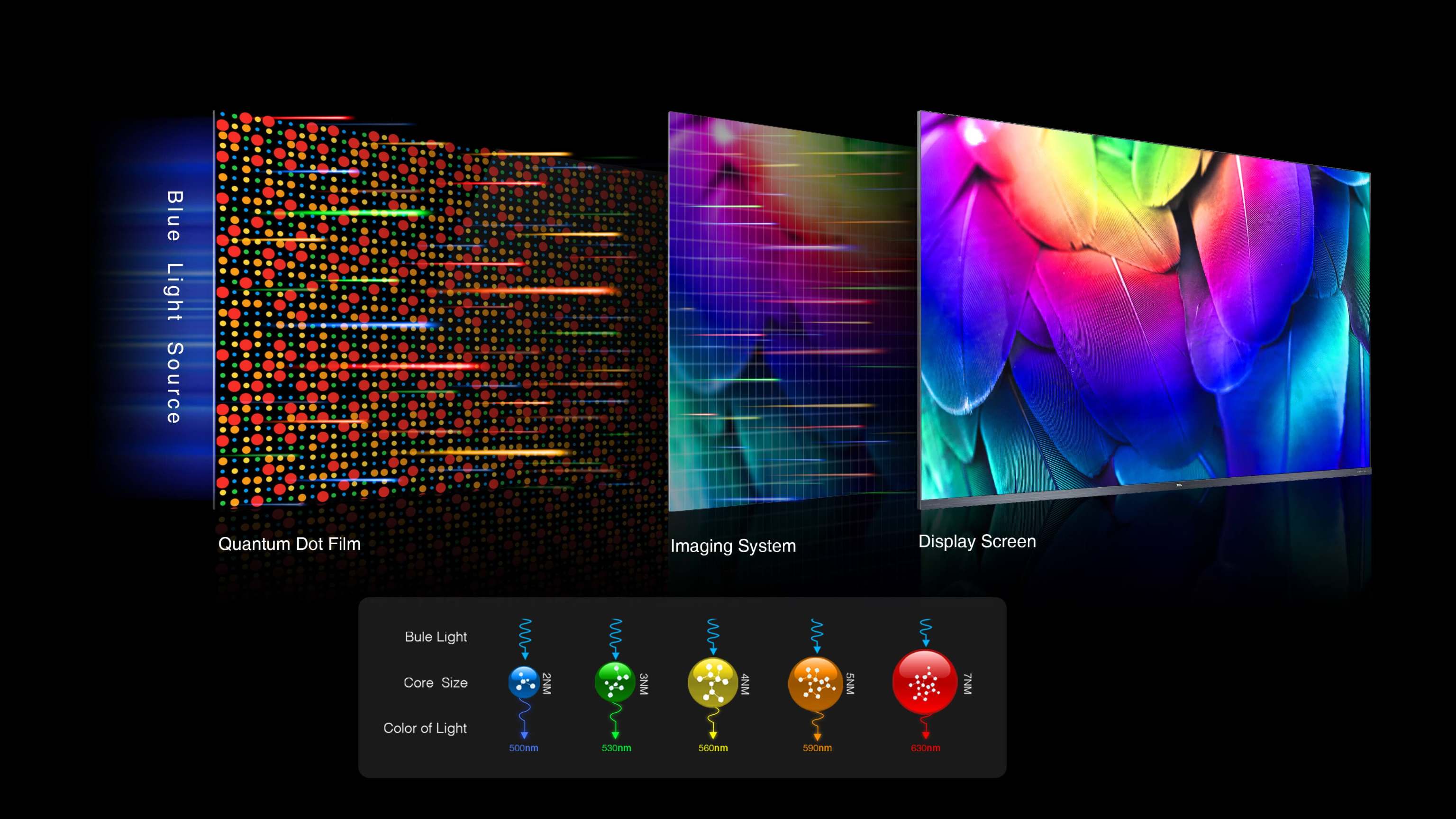 TCL QLED TV structure diagram