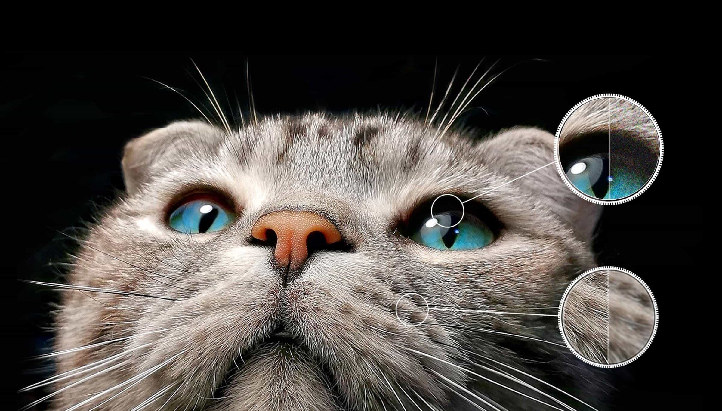 TCL TV QM850G Ai-CLARIDAD