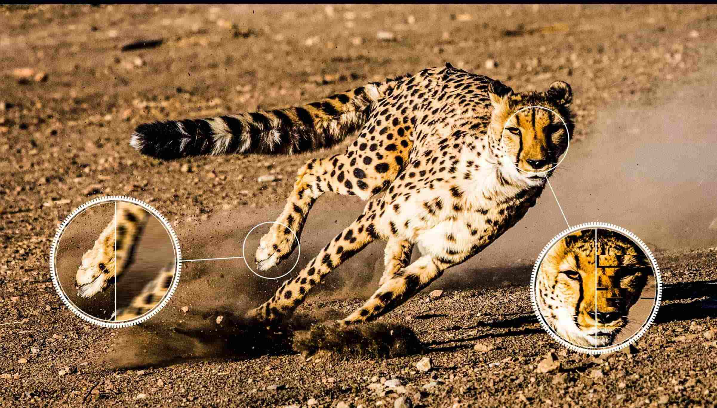 TCL TV QM850G Ai-MOTION