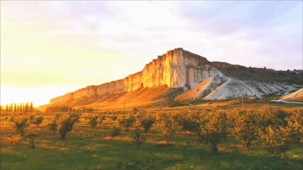 TCL QM850G TV Tecnología Dynamic α