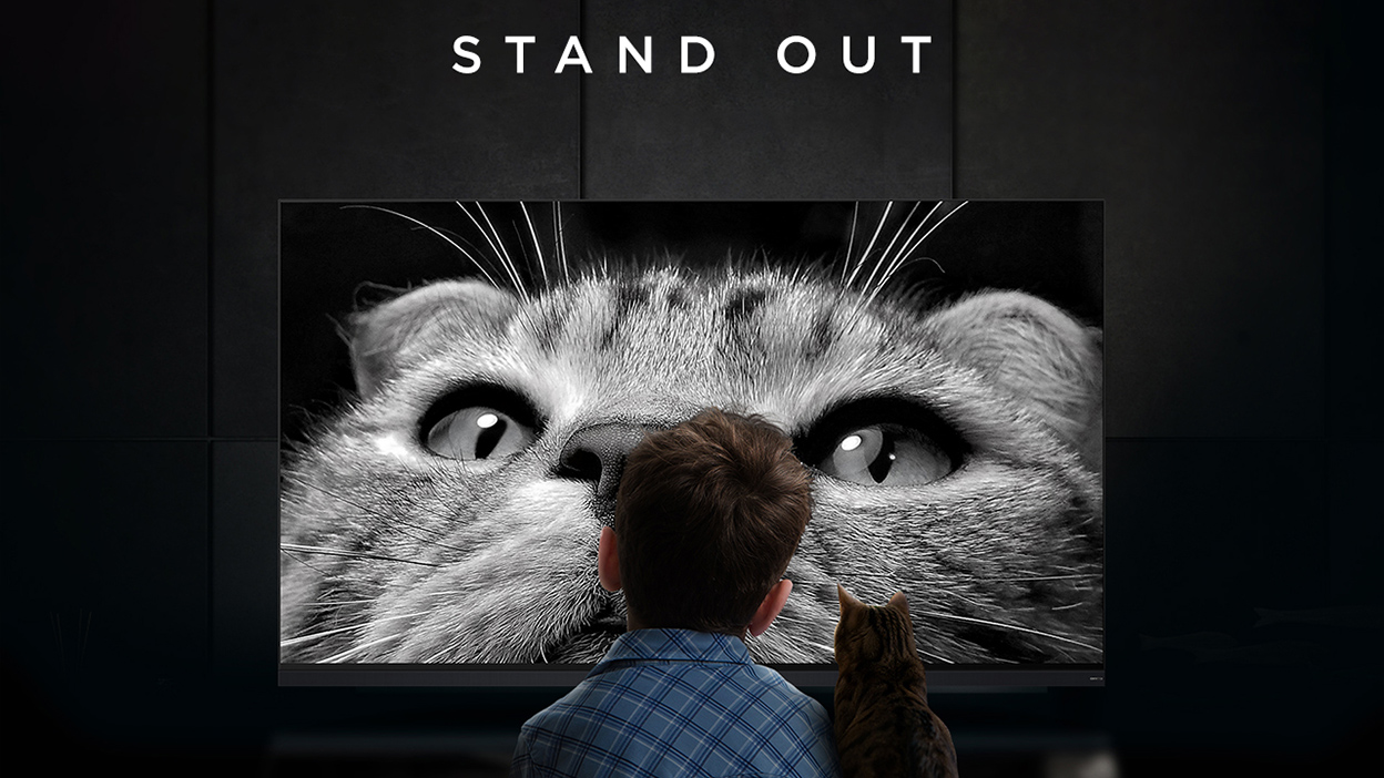 How Does TCL as a brand Stand Out in the TV World?