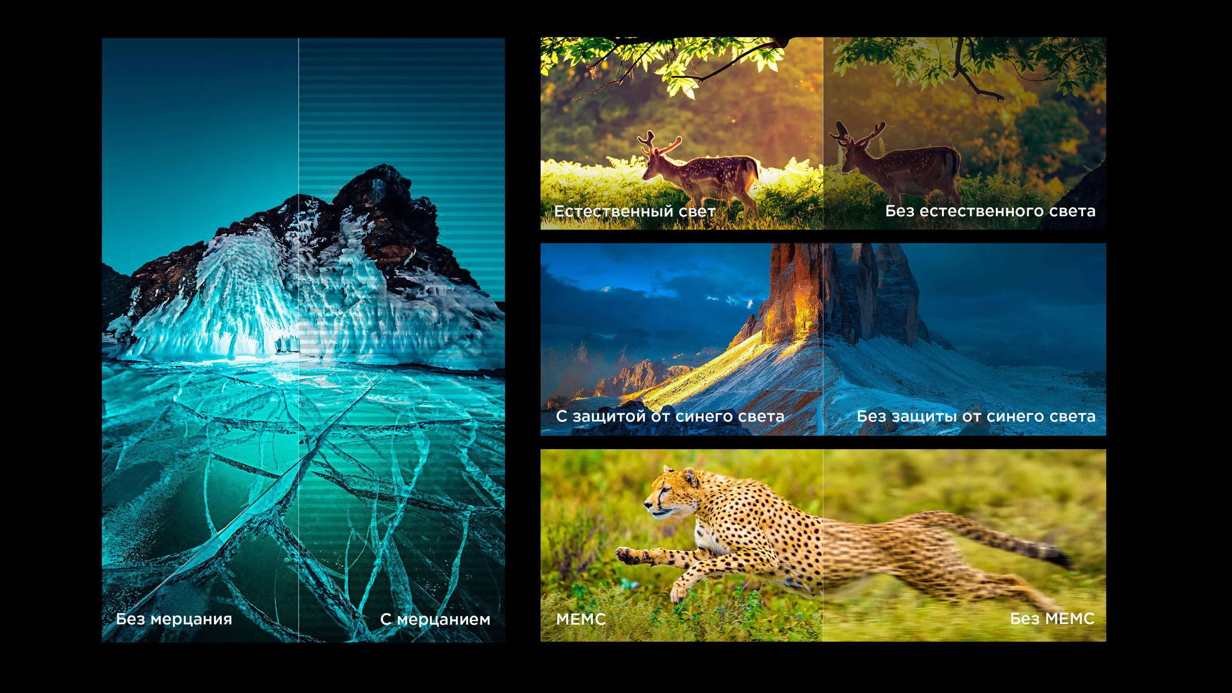 Authoritative picture quality certification