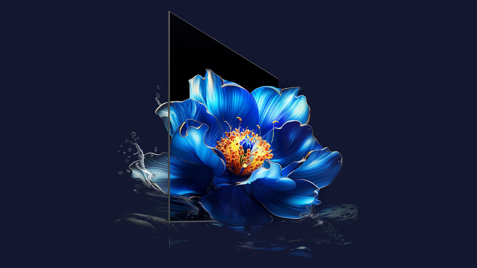 TCL P6K Characteristic