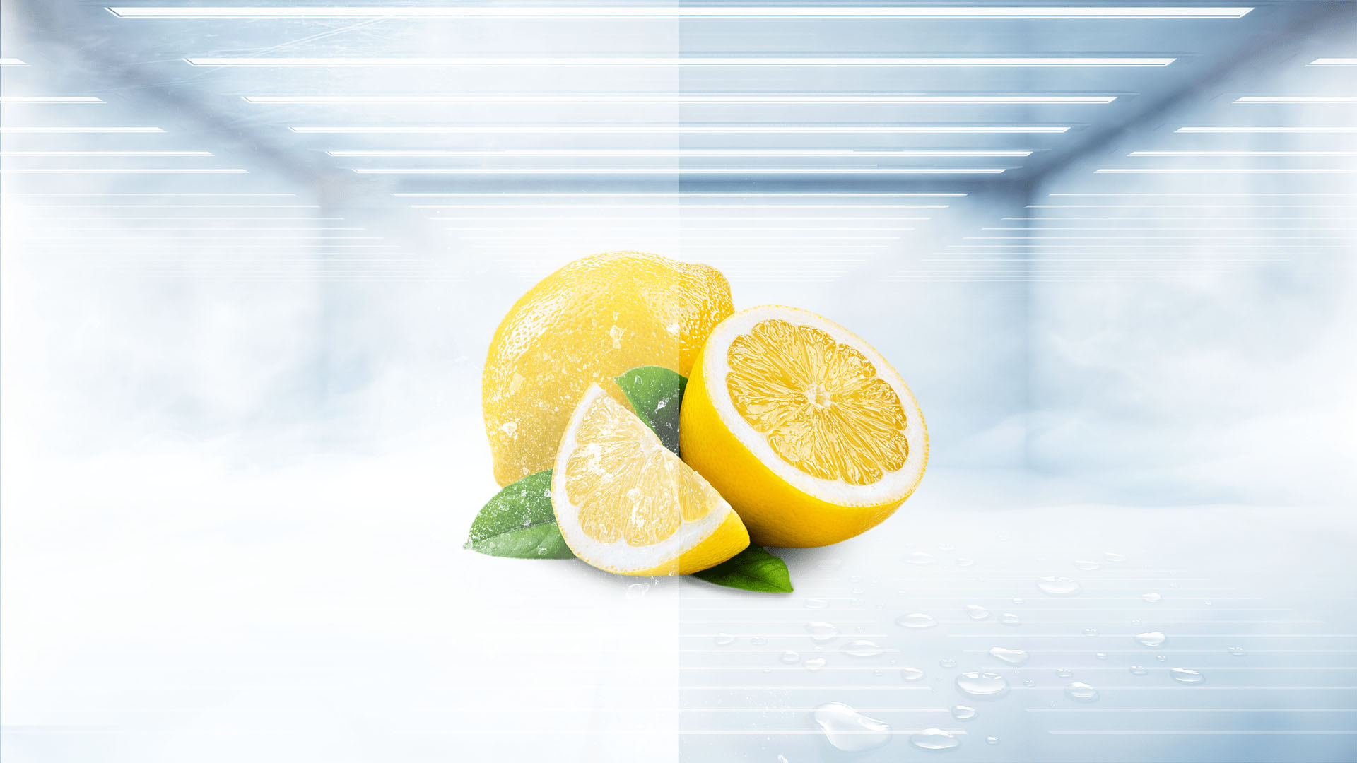 Total No Frost: homogeneous and frost-free cooling. Optimal food preservation and stop the defrosting chore!