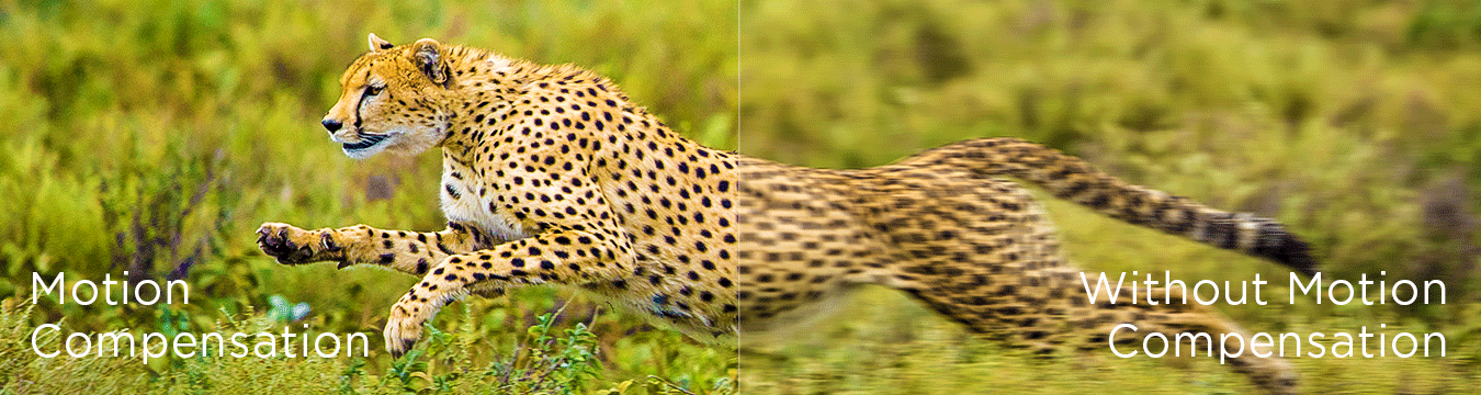 Motion Compensation vs without Compensation